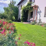 Jelenia 비스와