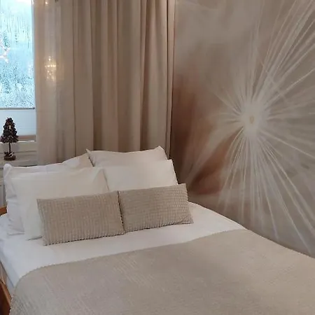 Apartament Nad Wisłą