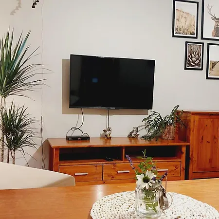 Nad Wisłą Apartament Wisła