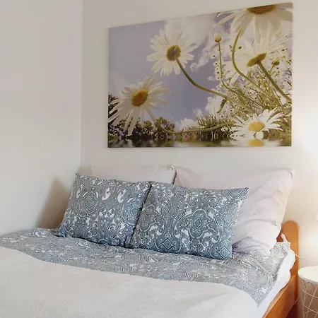 Nad Wisłą Apartament *