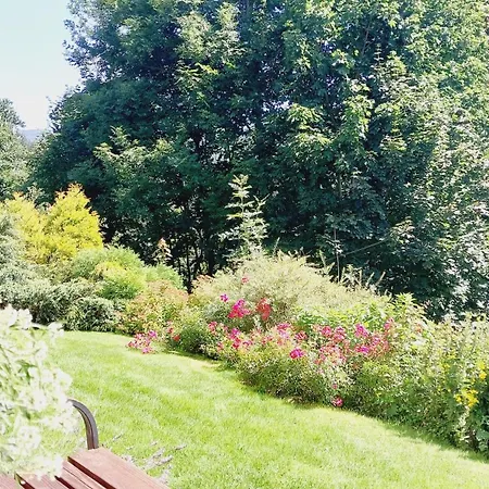 Jelenia Apartamento