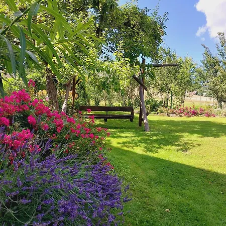 דירה Jelenia ויסלאו