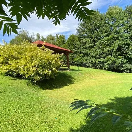 Jelenia ויסלאו