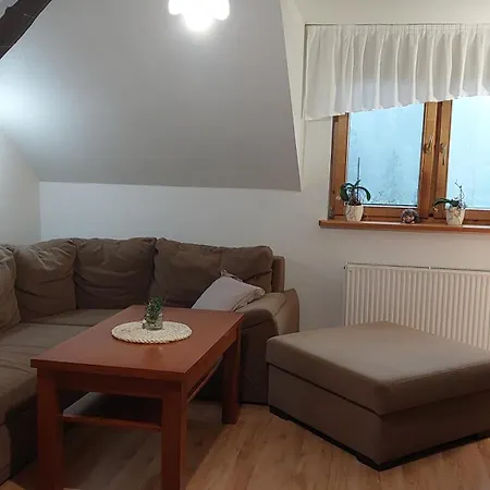 Nad Wisłą Apartament Wisła