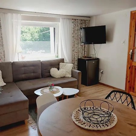 Nad Wisłą Apartament *