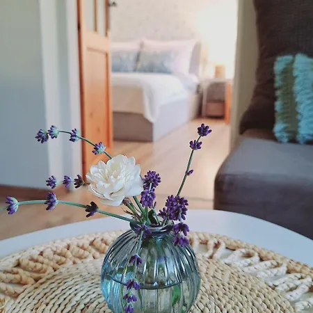 Apartmán Jelenia *