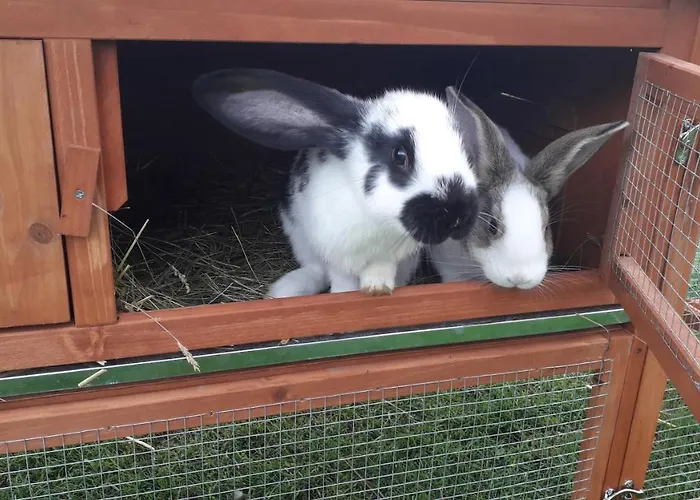 Appartement Jelenia Wisła